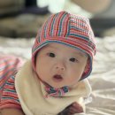 (주)투게임 | 꼬미의 100-111일 일상🫧