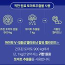 마이핏 | 동국제약 마이핏V 식물성 멜라토닌 멜라민즈 복용후기