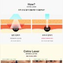 월드베스트의원 이미지