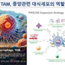 면역바이오랩(주) 이미지