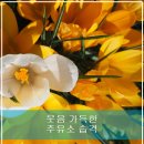 웃음주유소 이미지