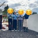 서유의섬 이미지