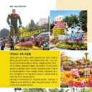 한밭대로(유성-14) 네이버블로그