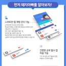 돼지아빠 이미지