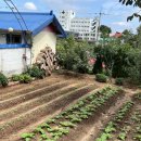 소반뫼스테이 이미지