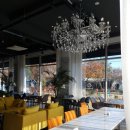 카페디오 이미지