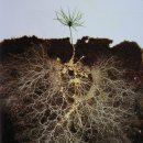 하나에너지 이미지