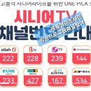 청춘어게인 노래교실 이미지