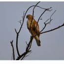 여주-1027 이미지