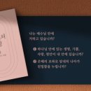 포도나무365 이미지