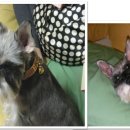 반포4동016 이미지