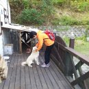 서윤석 Daum카페