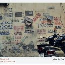 베트남맛집 이미지