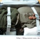 옷싸 - 청주시 상당구 쇠내로 84 | 옷싸