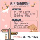 리안 동물병원 이미지