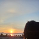 영종대로566번길 | 새해는 역시 해돋이! 영종 쏠마레 카페에서 맞이한 2026년