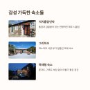 생태숲민박 | 제주 저지마을 여행기 – 자연과 예술이 흐르는 숲속 쉼터