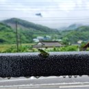 서상부엌 이미지