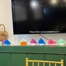 노성홍가네 이미지