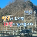 도촌막국수 이미지