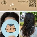찬호헤어 - 광진구 용마산로2길 13 | 기장 추가금 없는 개꿀 전주 전북대 미용실 모즈토리