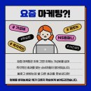 더엔에스 이미지