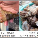 나팔횟집 이미지