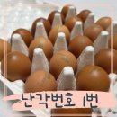 보람농장 | 달콩농장 난각번호1번 자연방사 유정란 솔직후기