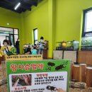 여주곤충박물관 이미지