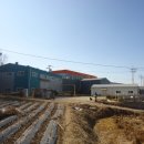 (주)엔케이에스