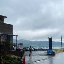 보재기집건어물 | 거제도 지세포항 해변 보재기집 해물물회 성게비빔밥 후기