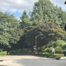 모다페카페 | 2025/SEP.08