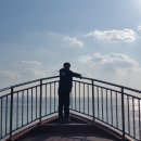 한반도 행정사사무소 이미지