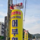 몽돌리조트
