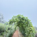 용연농장 이미지