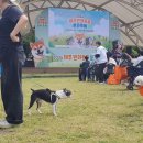 제주섬마리 이미지