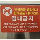 빨래방버블런드리 이미지