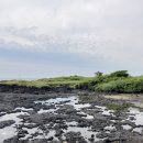 본마을3길 16 이미지