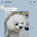 그루밍051 이미지