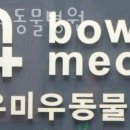 바우미우동물병원 네이버블로그