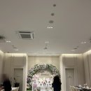 동고정 | 인천 돌잔치, 프리미엄 파티홀 &#39;더비앙송도&#39; 뷔페 시식 찐 만족 후기