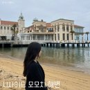 파마싸커 | [일본] 후쿠오카 여행 가볼만한곳 인공 해변 명소, 시사이드 모모치해변