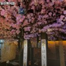 사이야(일산백석점) | 고양시 일산동구 백석동 술집 사이야 일산백석점 추천메뉴가격영업시간리뷰주차