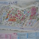 인천 드림파크 국화축제 후기
