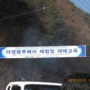 대야농장 이미지