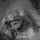 하슬라동물병원 이미지