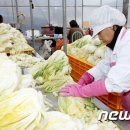 네보름영농조합법인 이미지