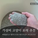 pet18무8401 | 고양이모래추천 ! 펫폴리오 벤토나이트 베이직샌드_ 펫폴리오샌드
