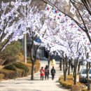 용산-105 이미지