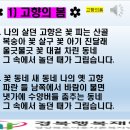 신이 난다 난타 이미지